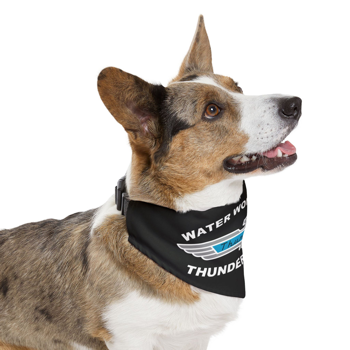 Water Wonderland Thunderbird Club Pet Bandana — for Dogs & Cats