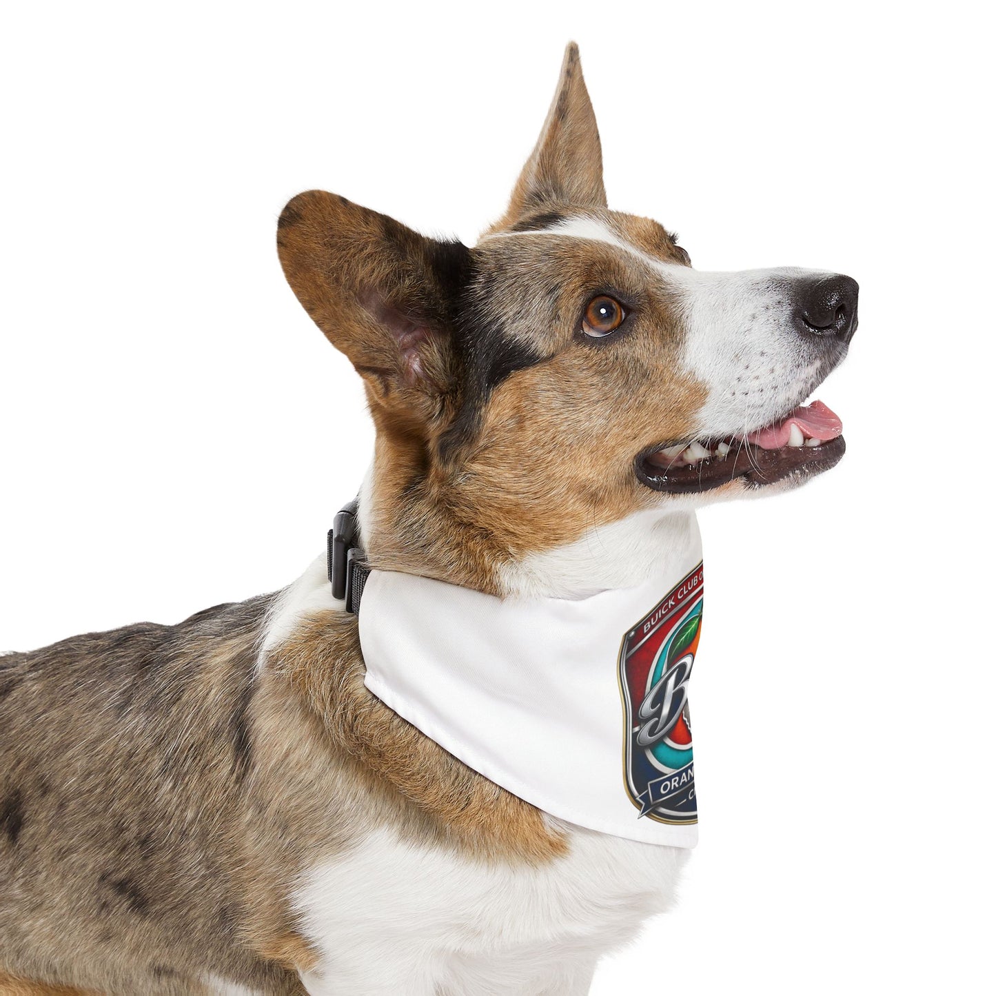 Buick Orange County Chapter Pet Bandana Collar