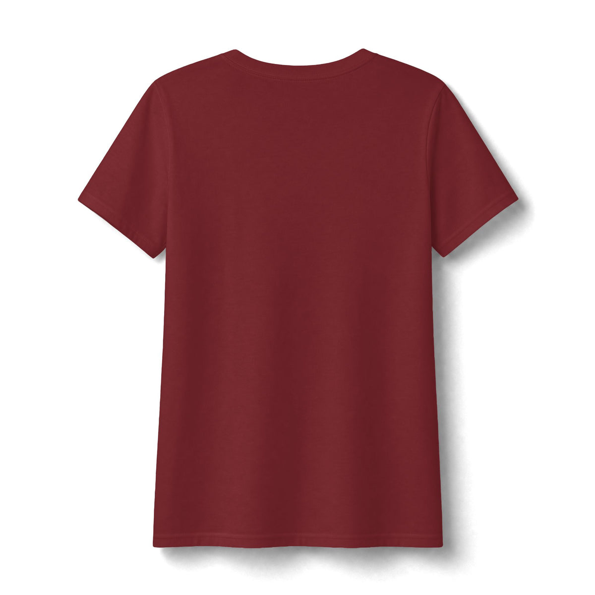Water Wonderland Thunderbird Club Women's Fan Favorite V-Neck Tee - Soft Feel
