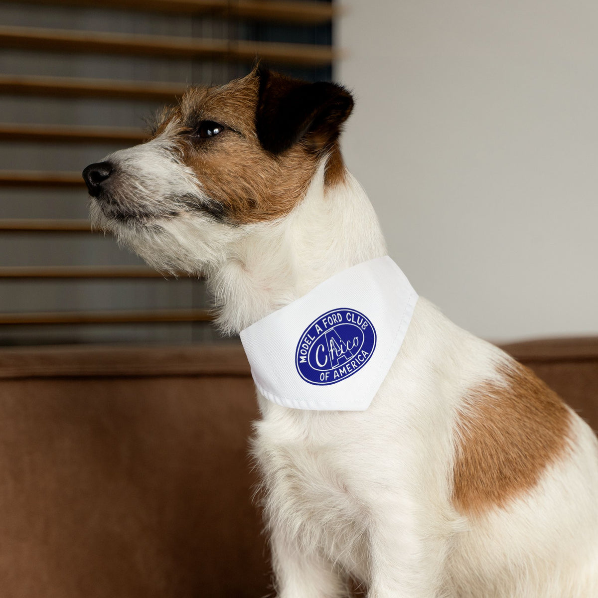 Chico A's Model A Ford Club Pet Bandana Collar