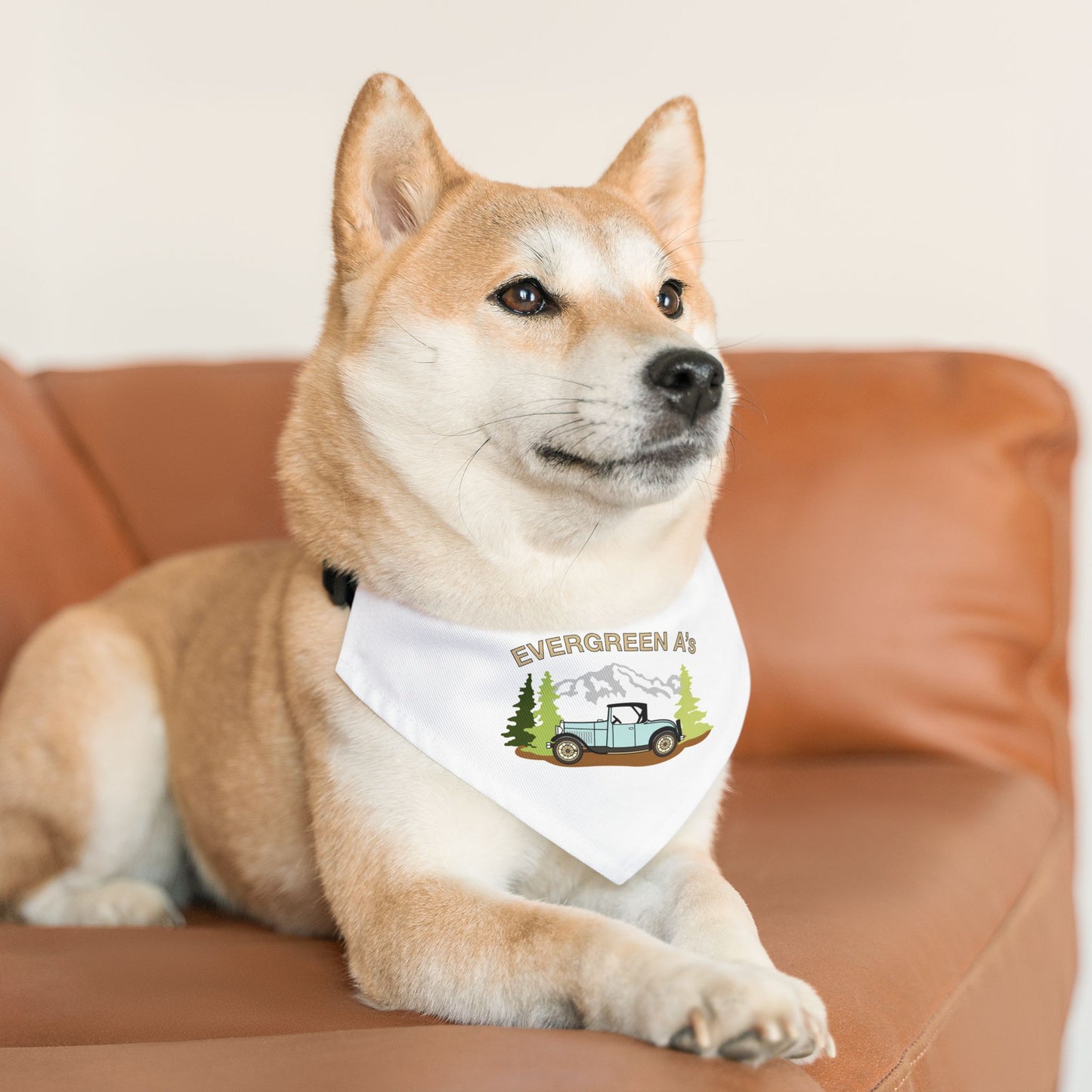 Evergreen A's Adventure Pet Bandana Collar