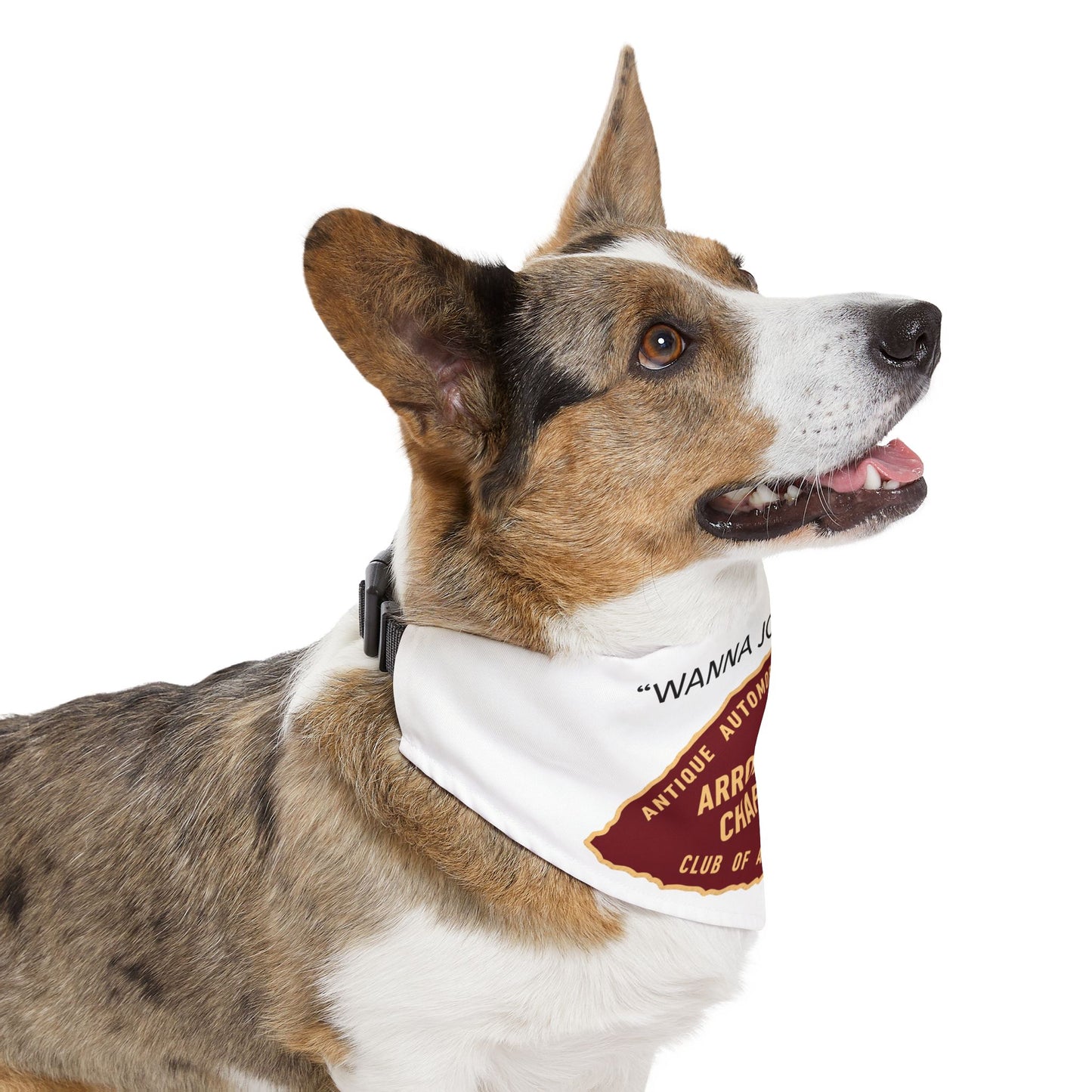 Arrowhead Chapter AACA Pet Bandana — "Wanna Join Us...?"
