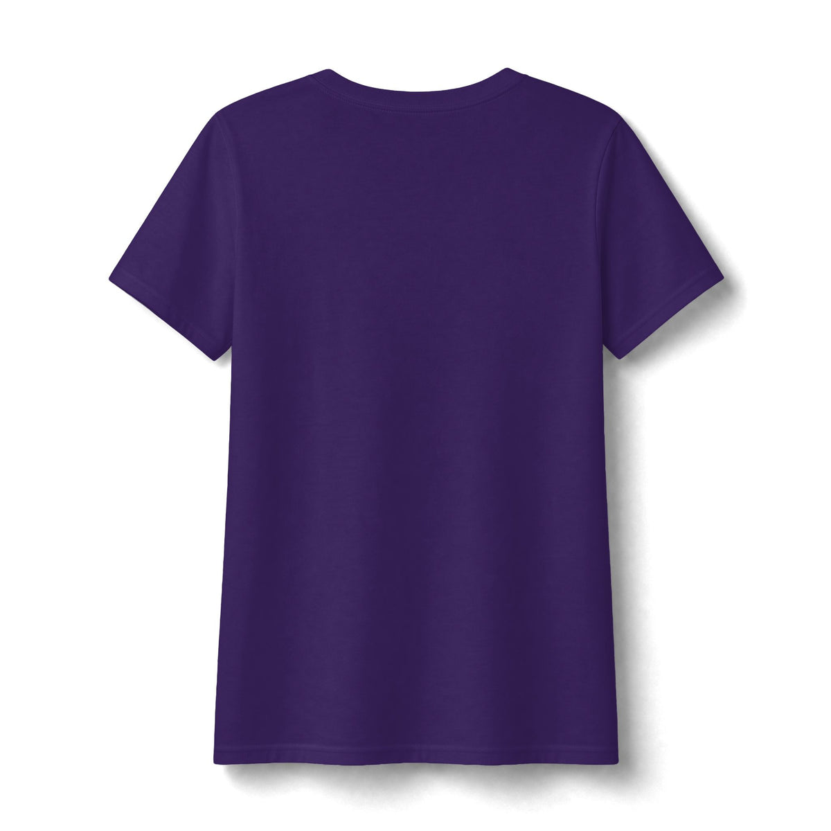 Water Wonderland Thunderbird Club Women's Fan Favorite V-Neck Tee - Soft Feel