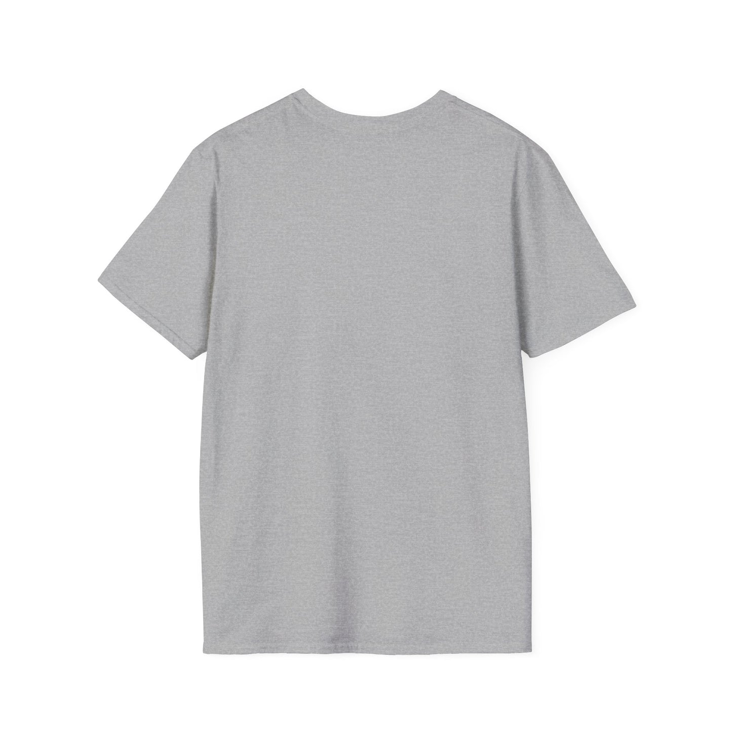 North Central Florida Region AACA T‑Shirt — Unisex Softstyle T-Shirt