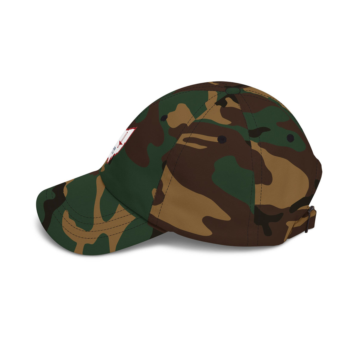 Dayton Corvair Club Printed Dad Cap