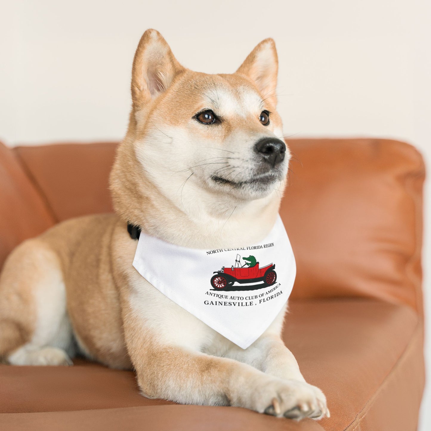 North Central Florida Region AACA Pet Bandana Collar — Gainesville Florida Antique Auto Club