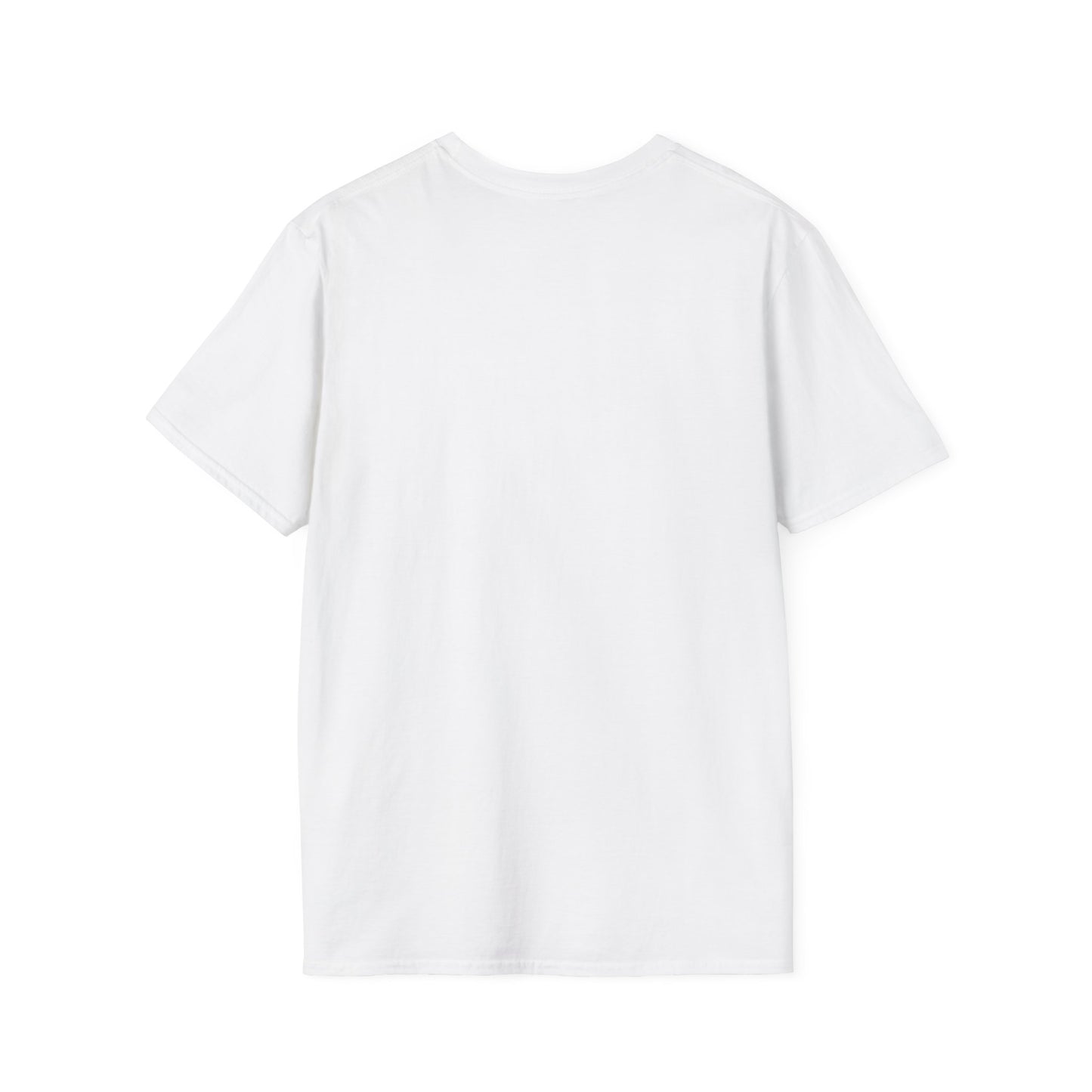 North Central Florida Region AACA T‑Shirt — Unisex Softstyle T-Shirt