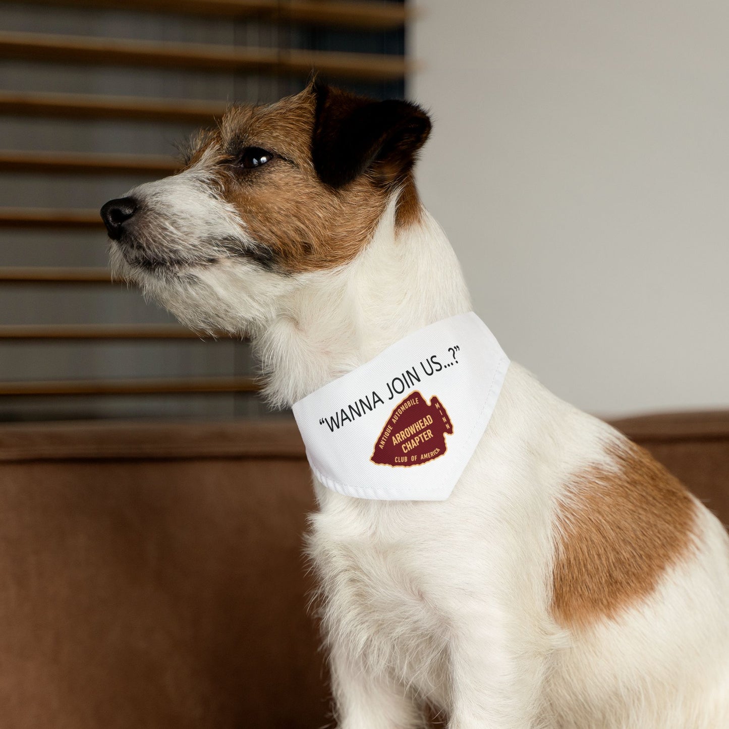 Arrowhead Chapter AACA Pet Bandana — "Wanna Join Us...?"