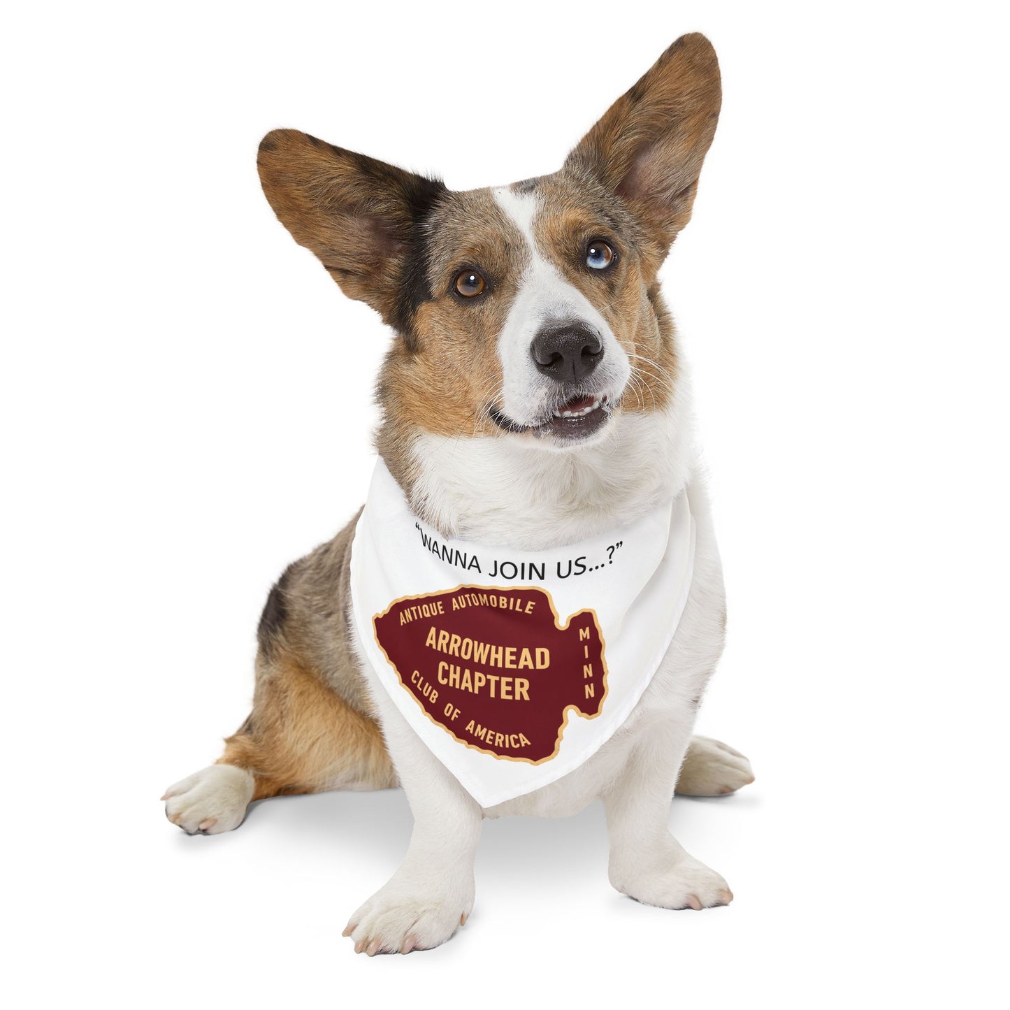 Arrowhead Chapter AACA Pet Bandana — "Wanna Join Us...?"
