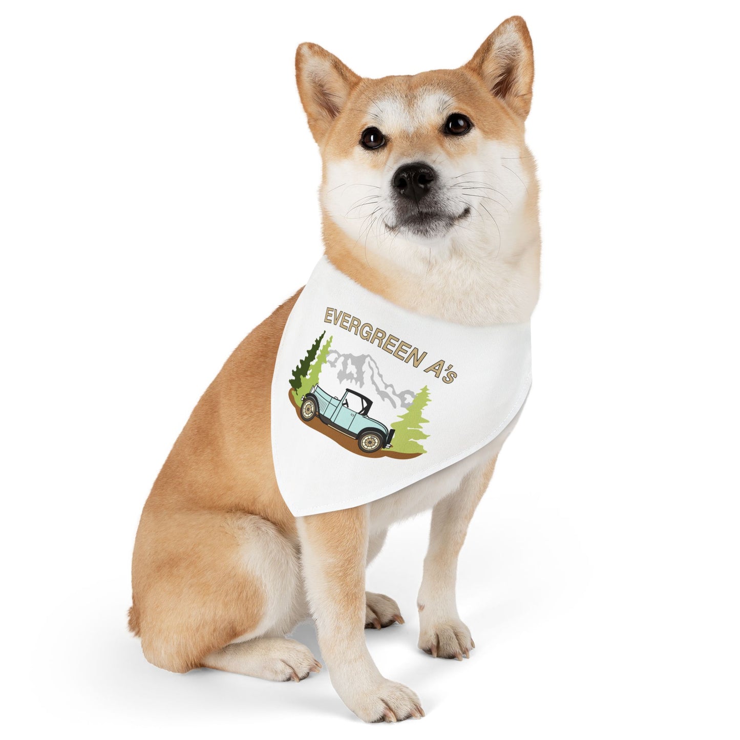 Evergreen A's Adventure Pet Bandana Collar