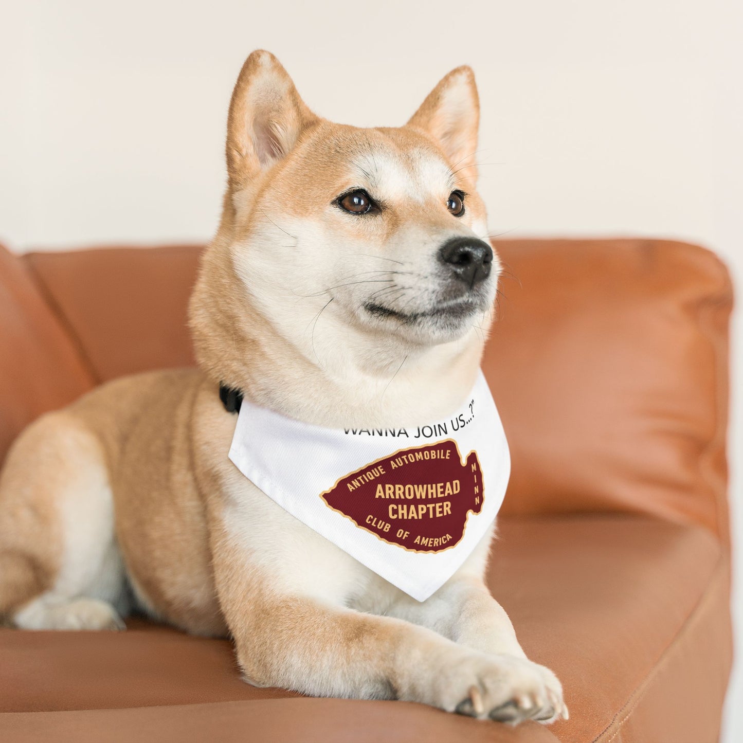 Arrowhead Chapter AACA Pet Bandana — "Wanna Join Us...?"