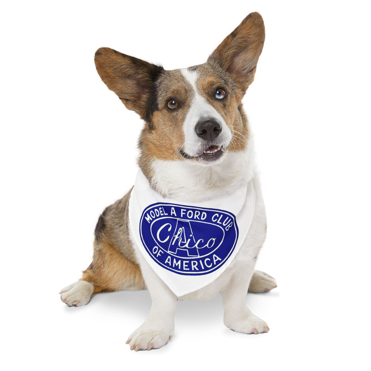 Chico A's Model A Ford Club Pet Bandana Collar