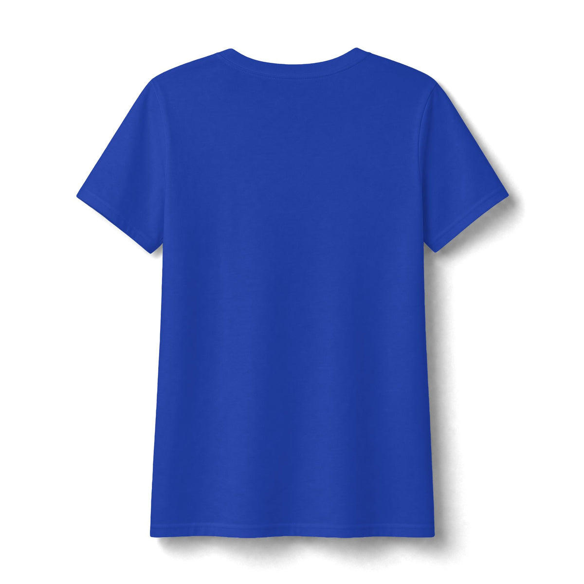 Water Wonderland Thunderbird Club Women's Fan Favorite V-Neck Tee - Soft Feel