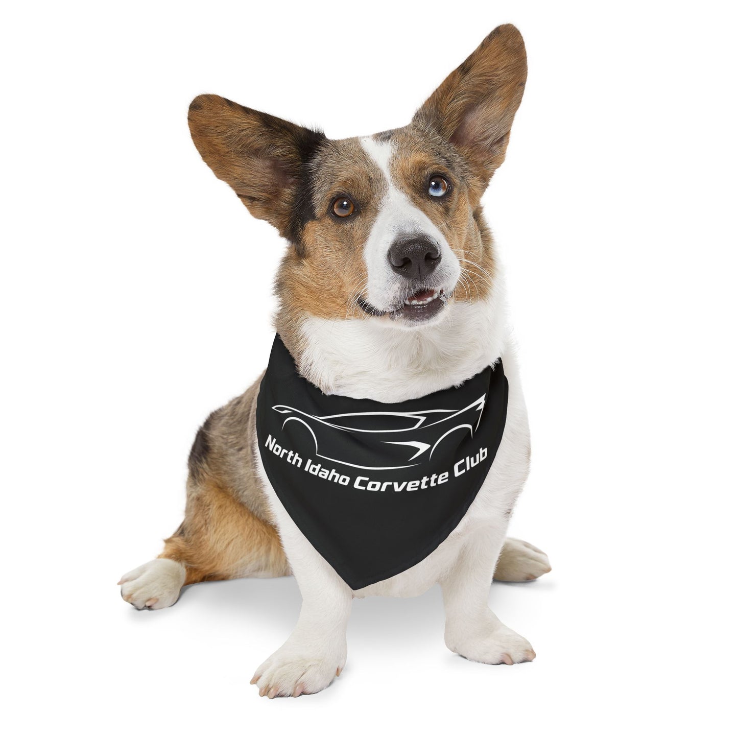 North Idaho Corvette Club Pet Bandana