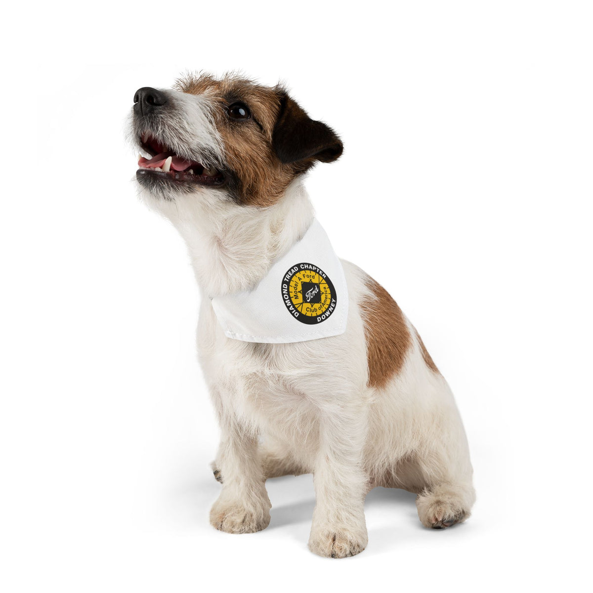 Diamond Tread Chapter Downey Logo Bandana for Dogs - Pet Bandana Collar
