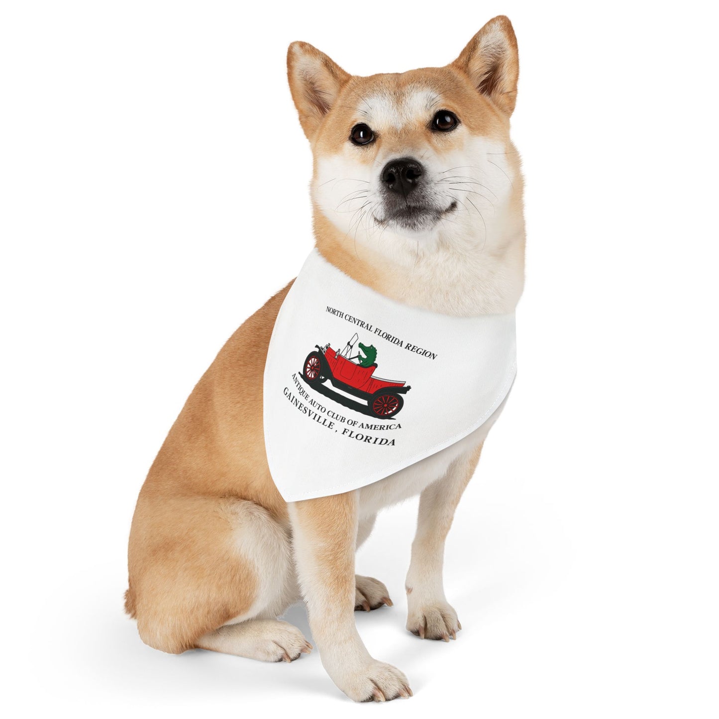 North Central Florida Region AACA Pet Bandana Collar — Gainesville Florida Antique Auto Club