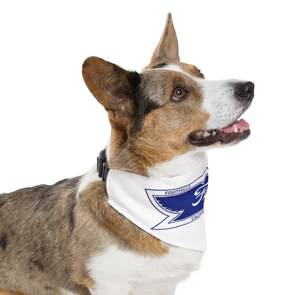 Foothills Model T Club Pet Bandana Collar