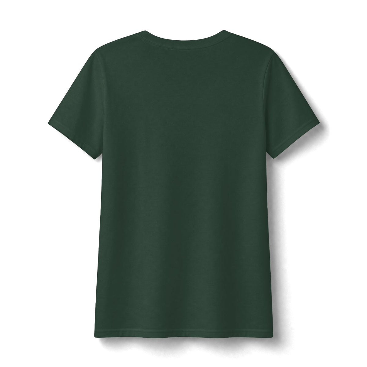 Water Wonderland Thunderbird Club Women's Fan Favorite V-Neck Tee - Soft Feel
