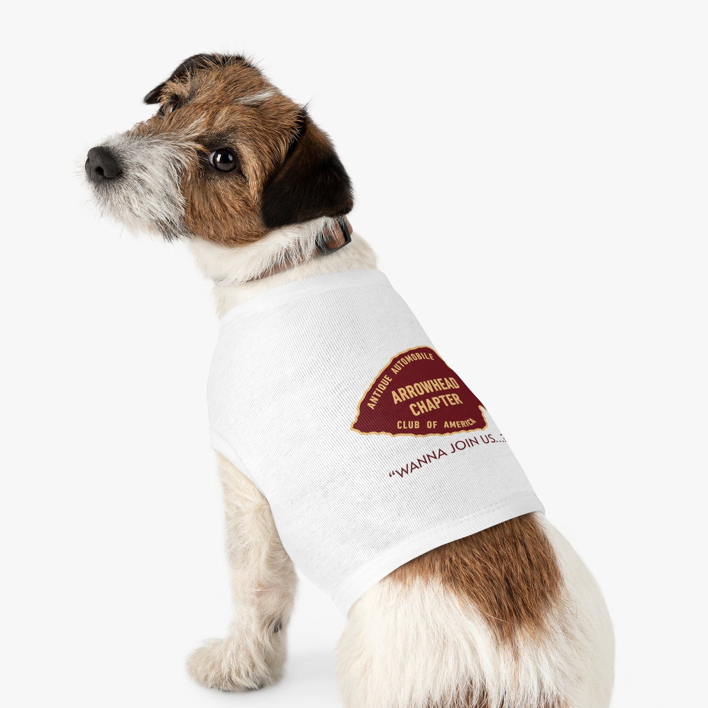 Arrowhead Chapter AACA Pet Tank Top – Vintage Automobile Club Dog Shirt