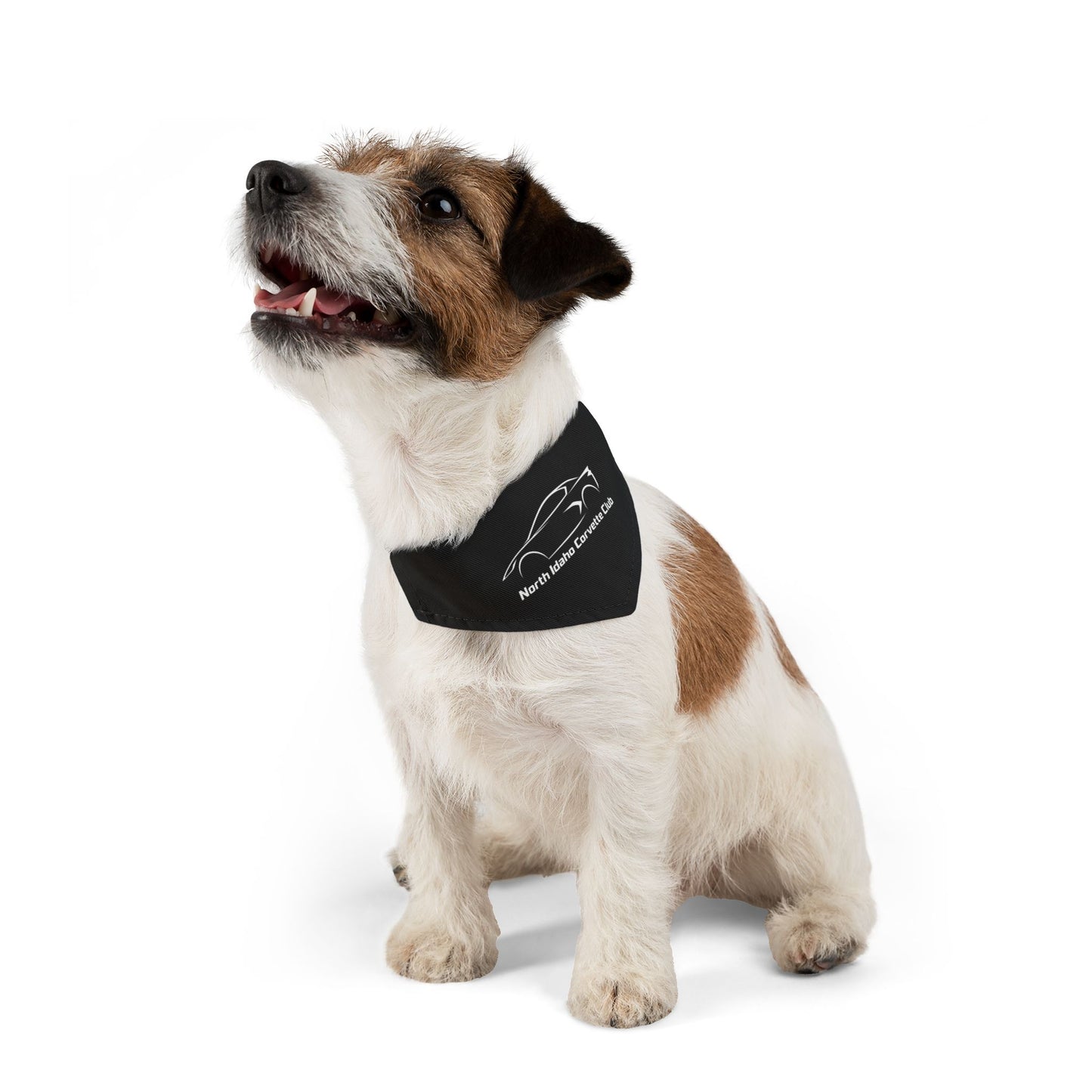 North Idaho Corvette Club Pet Bandana