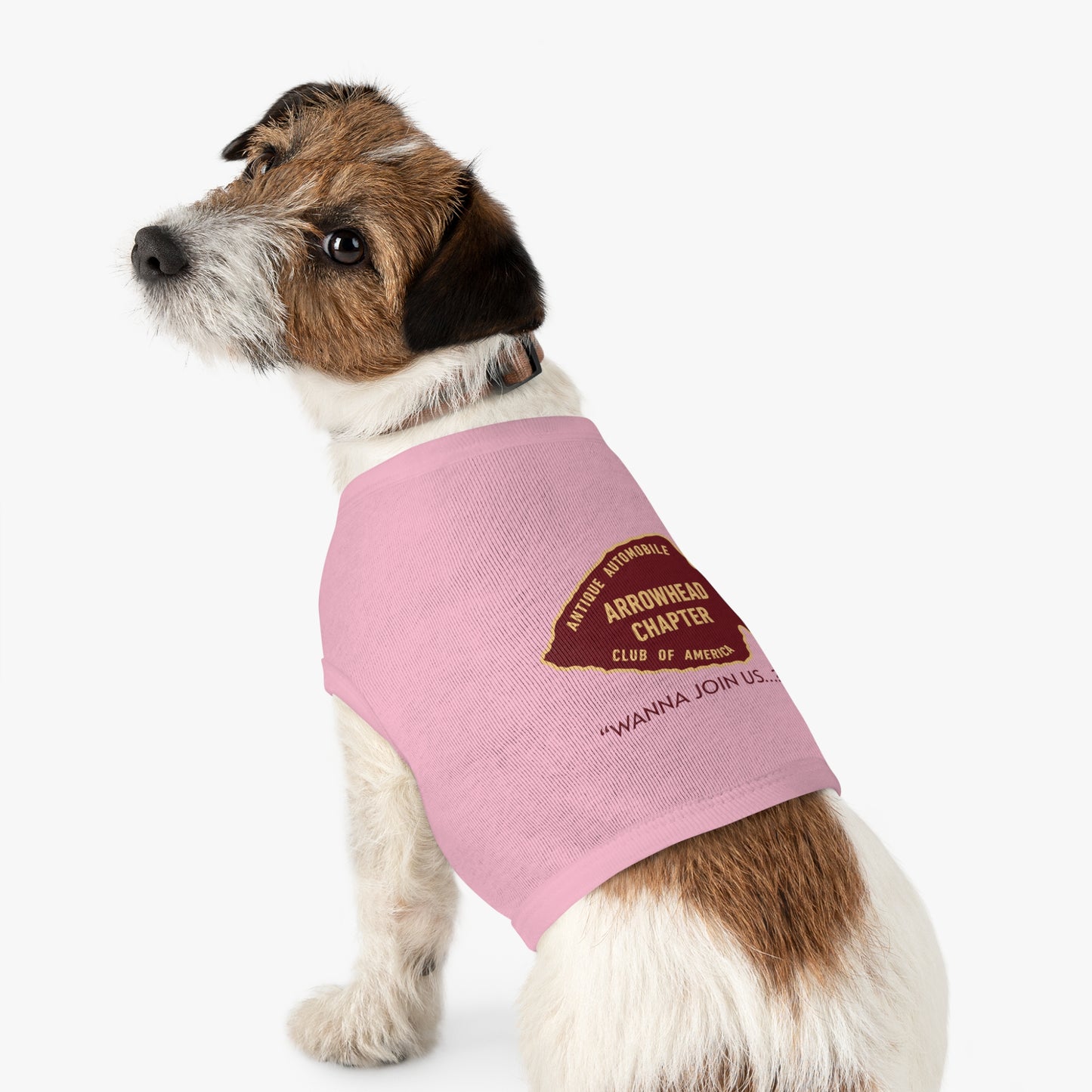 Arrowhead Chapter AACA Pet Tank Top – Vintage Automobile Club Dog Shirt