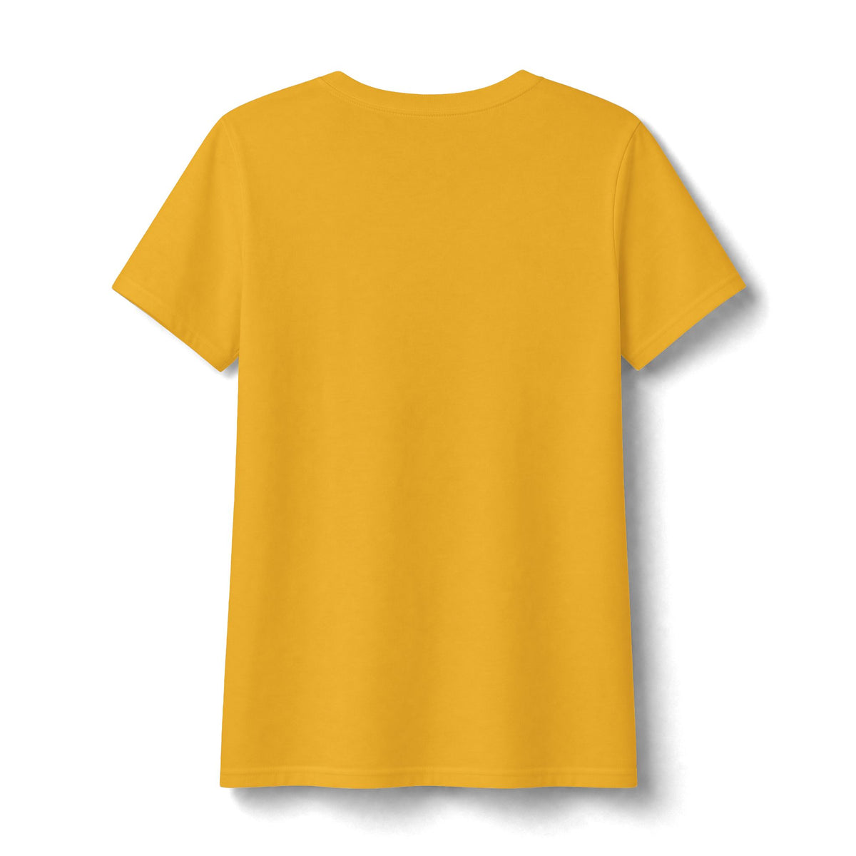 Water Wonderland Thunderbird Club Women's Fan Favorite V-Neck Tee - Soft Feel