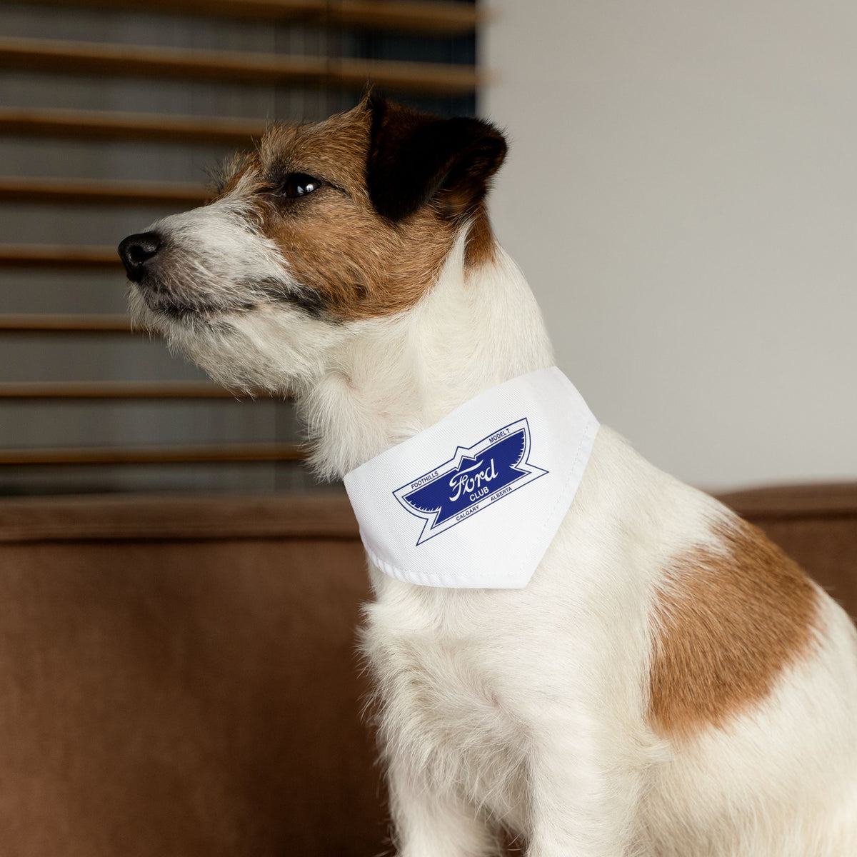 Foothills Model T Club Pet Bandana Collar