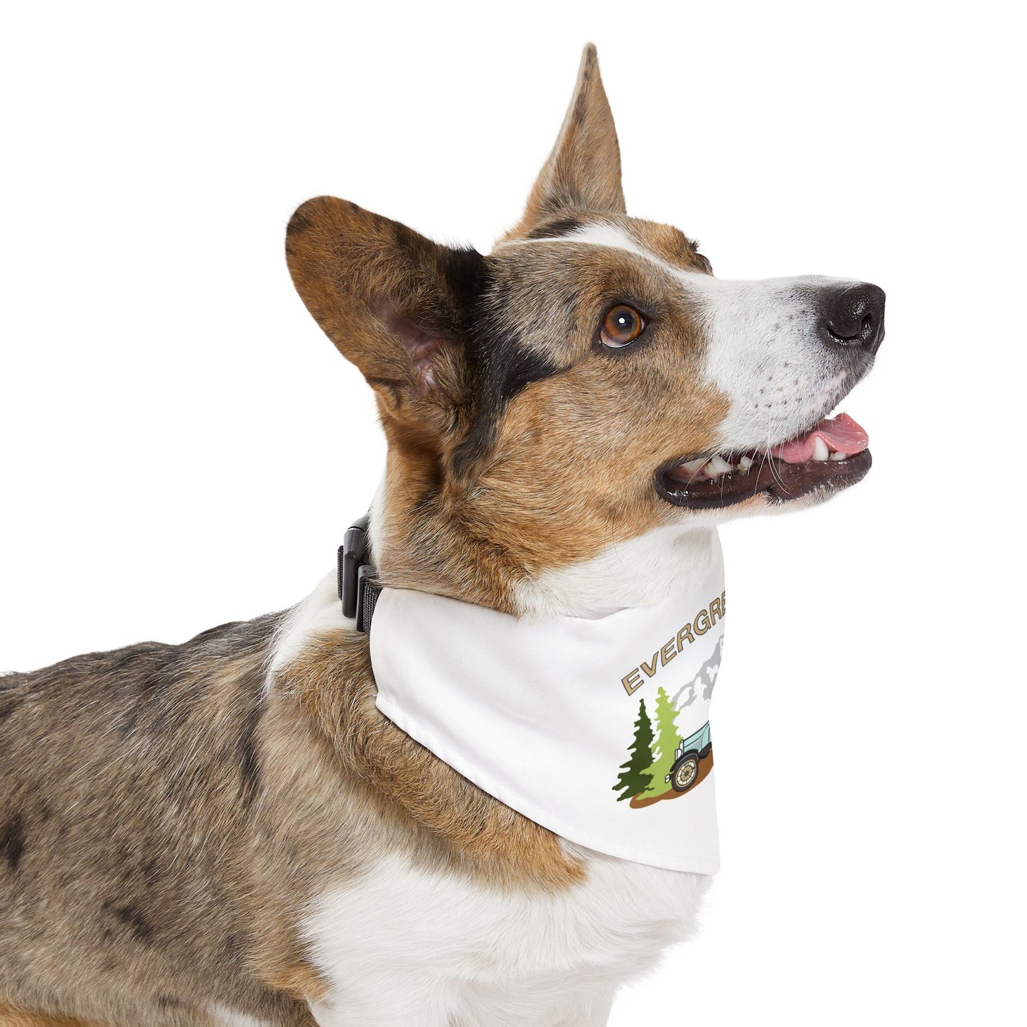 Evergreen A's Adventure Pet Bandana Collar