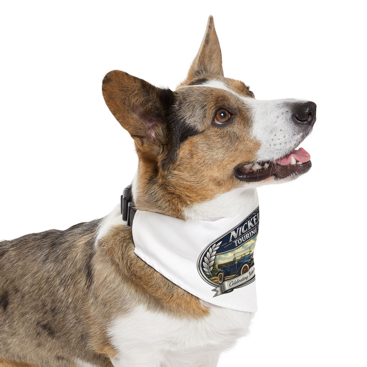 Nickel Era Touring Registry Vintage Car Logo — Pet Bandana Collar