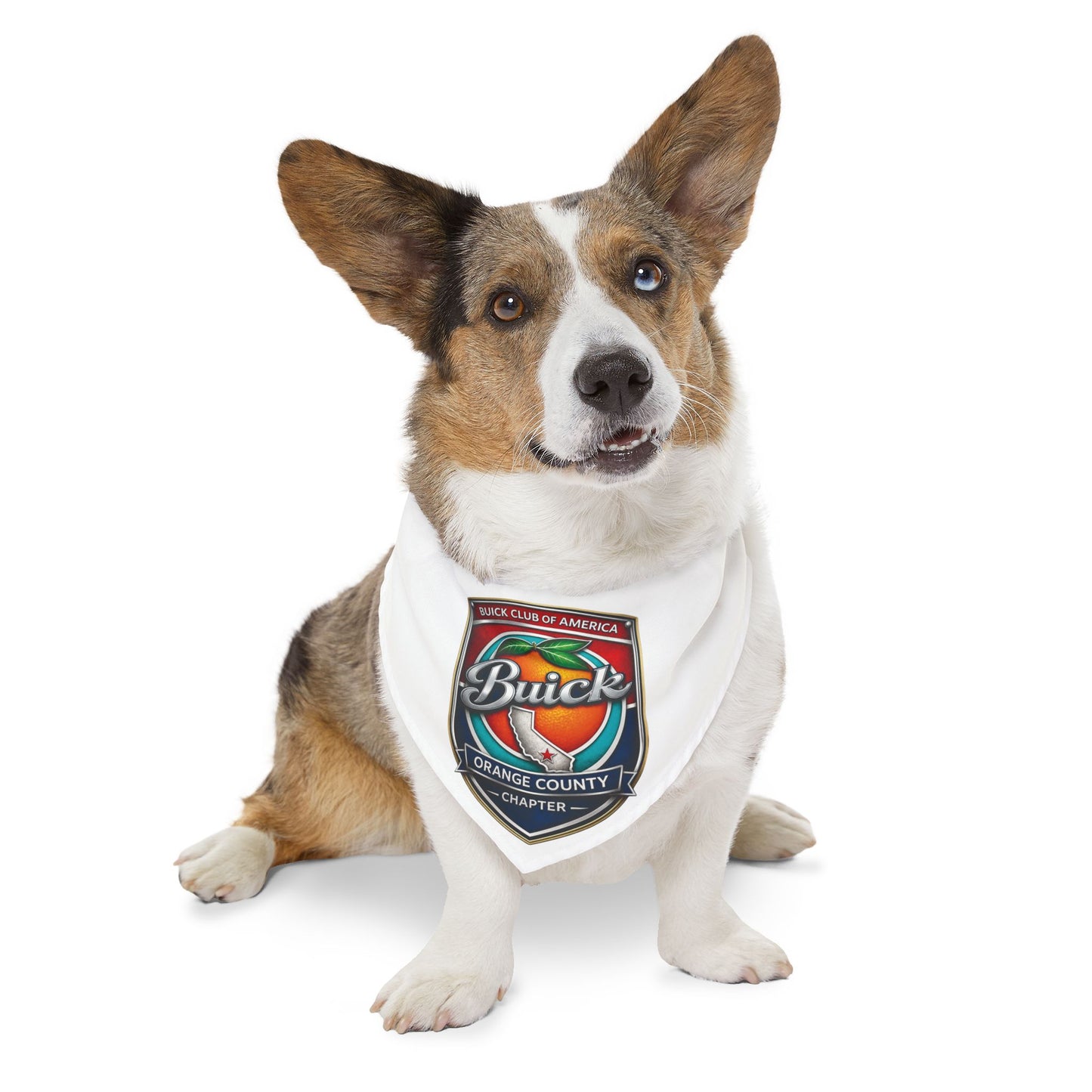 Buick Orange County Chapter Pet Bandana Collar