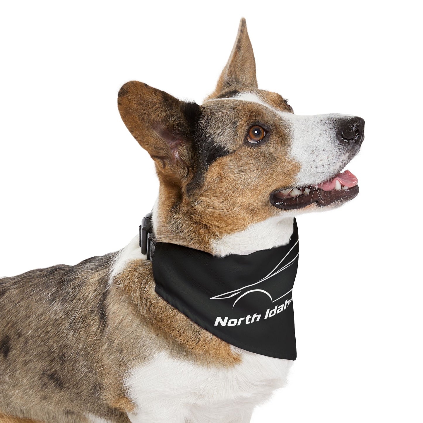 North Idaho Corvette Club Pet Bandana