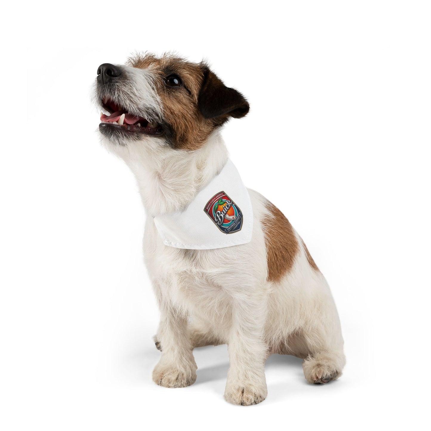 Buick Orange County Chapter Pet Bandana Collar
