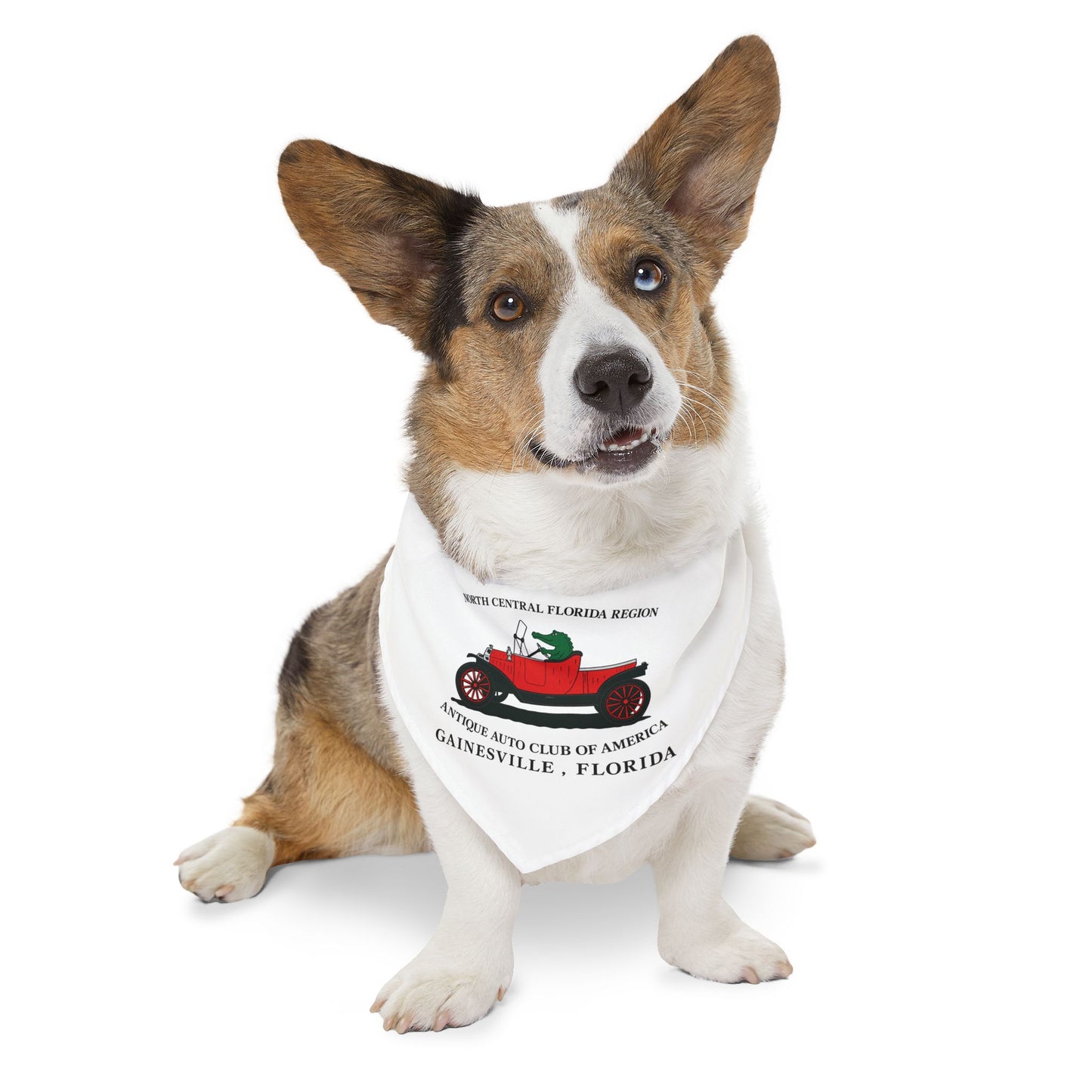 North Central Florida Region AACA Pet Bandana Collar — Gainesville Florida Antique Auto Club