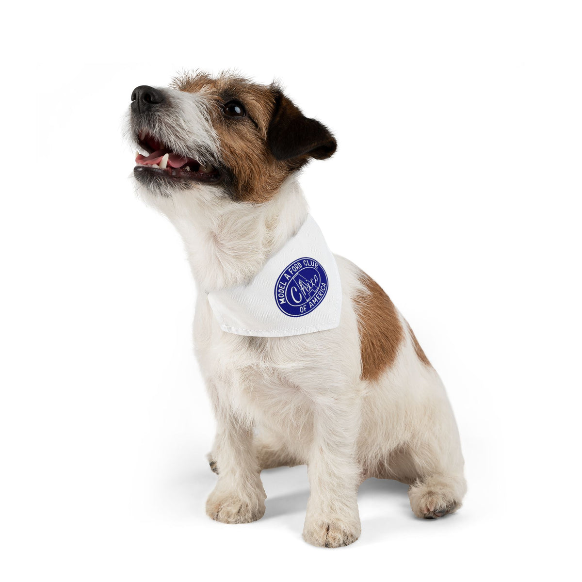Chico A's Model A Ford Club Pet Bandana Collar