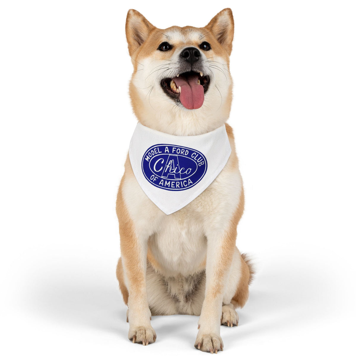 Chico A's Model A Ford Club Pet Bandana Collar