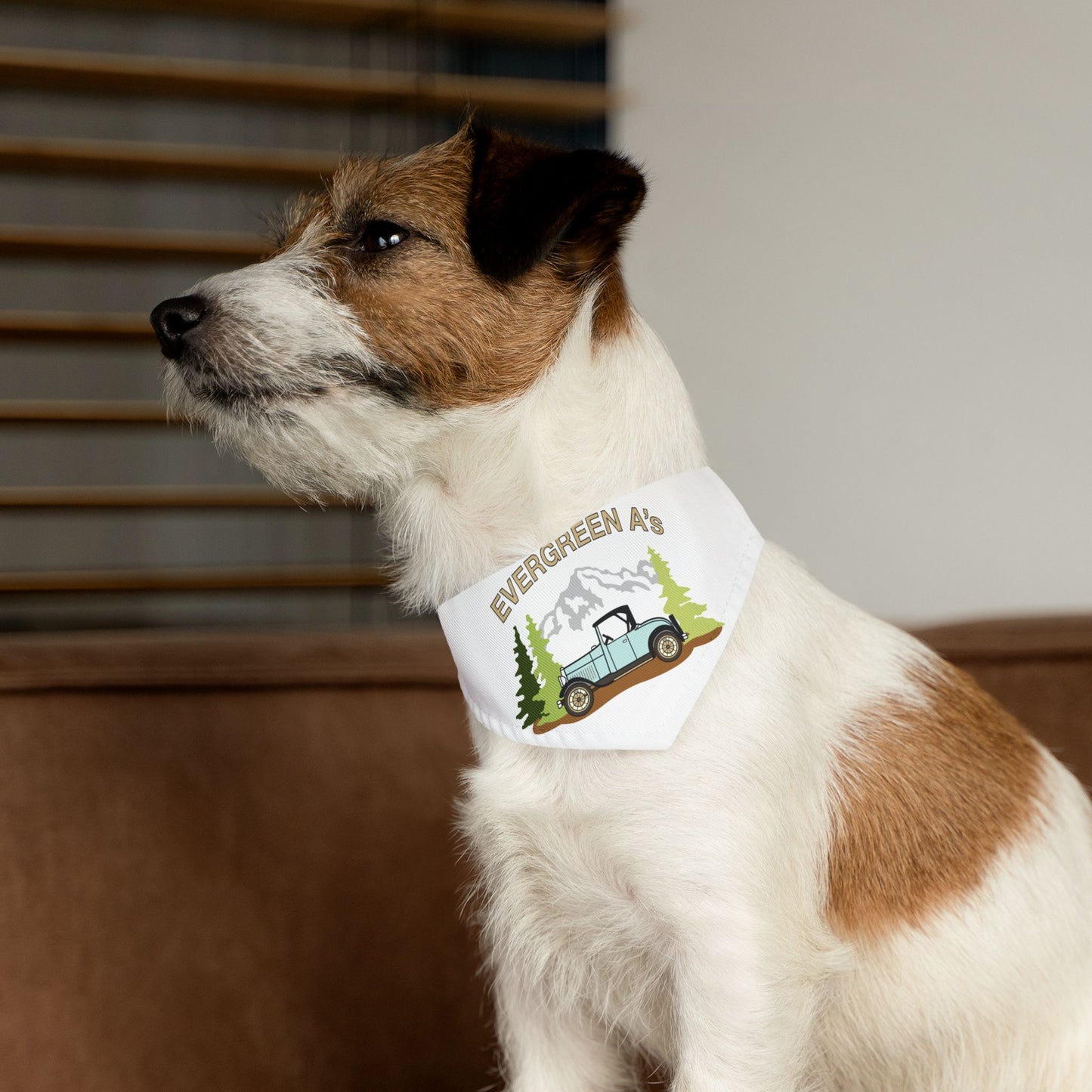 Evergreen A's Adventure Pet Bandana Collar