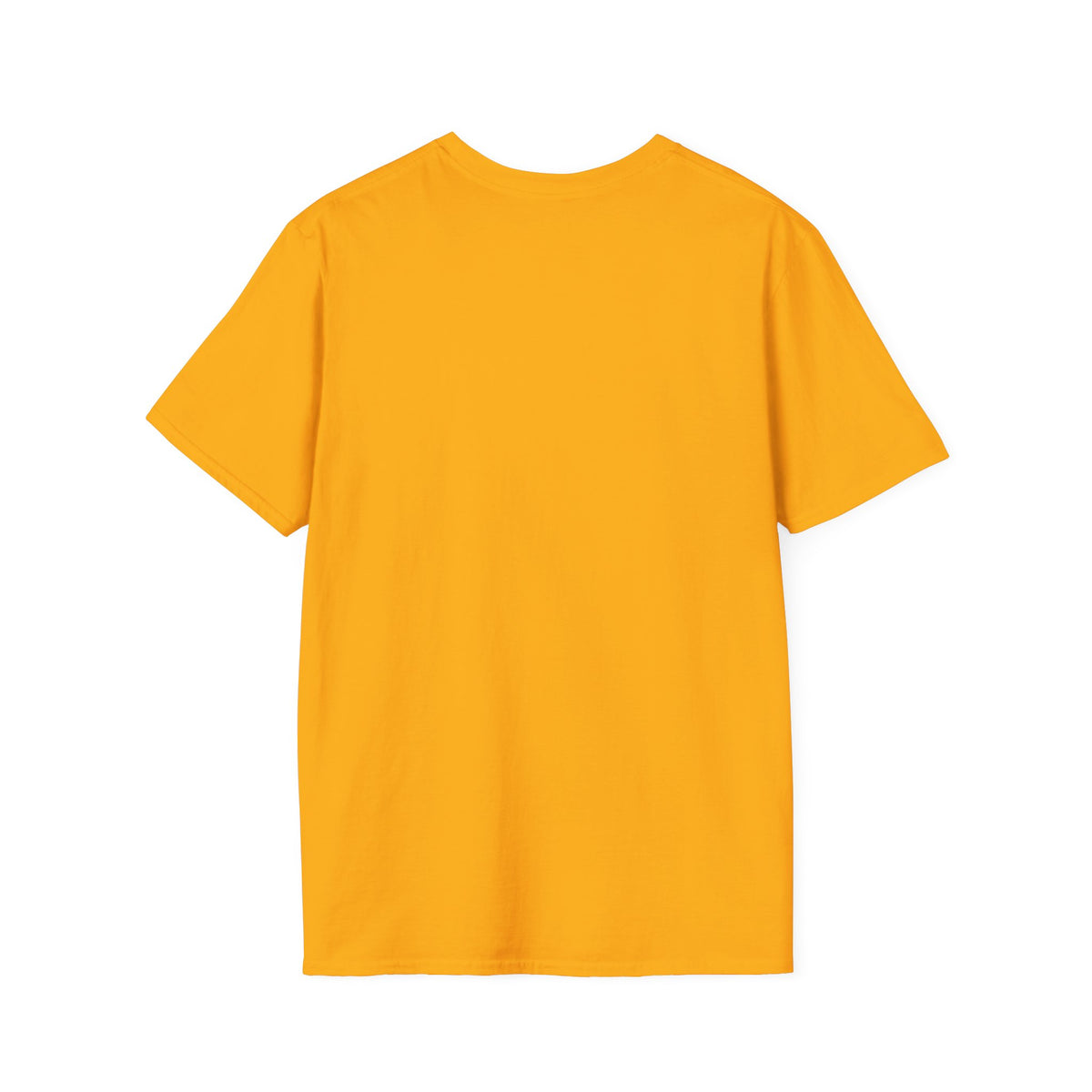 Fort Lauderdale Region AACA - Unisex Softstyle T-Shirt