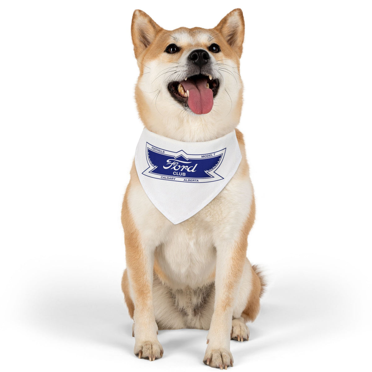 Foothills Model T Club Pet Bandana Collar