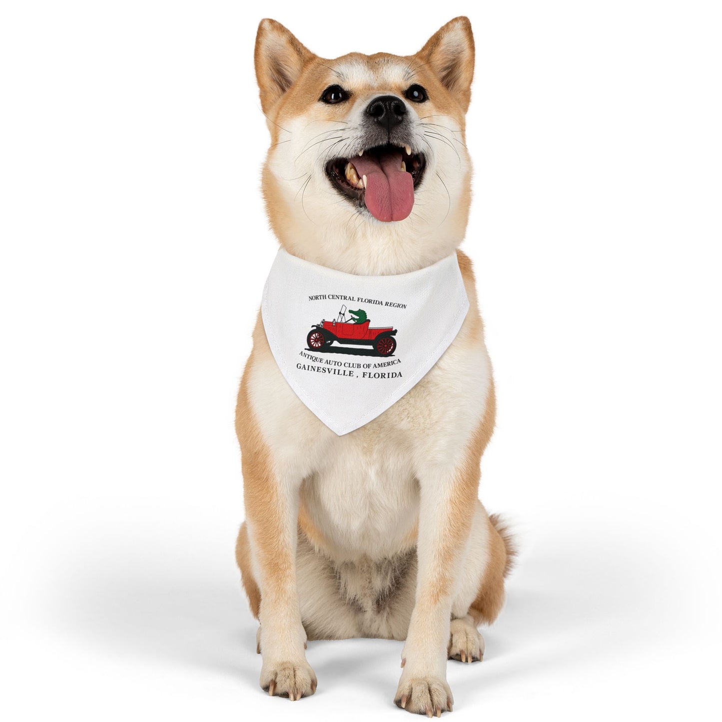 North Central Florida Region AACA Pet Bandana Collar — Gainesville Florida Antique Auto Club