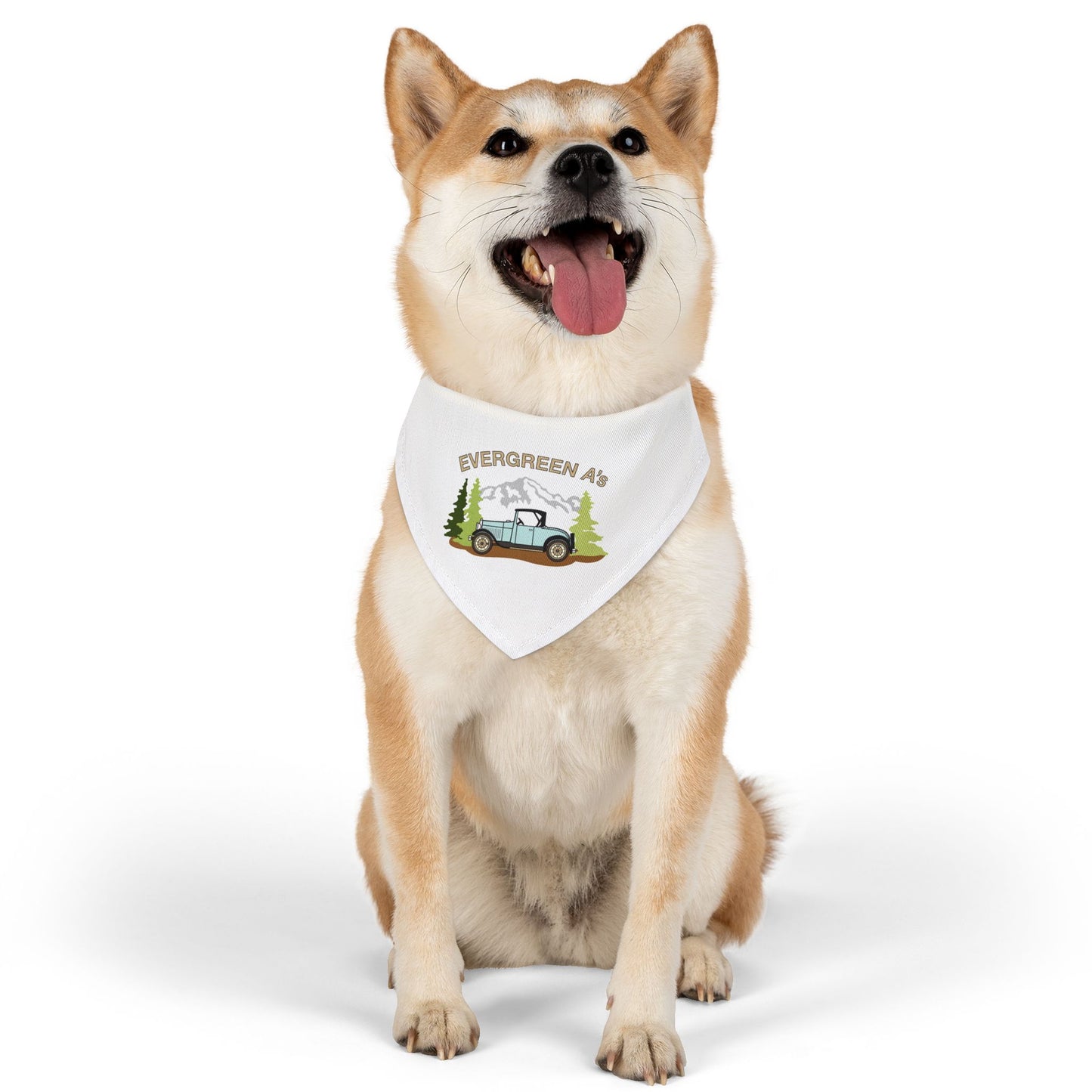 Evergreen A's Adventure Pet Bandana Collar