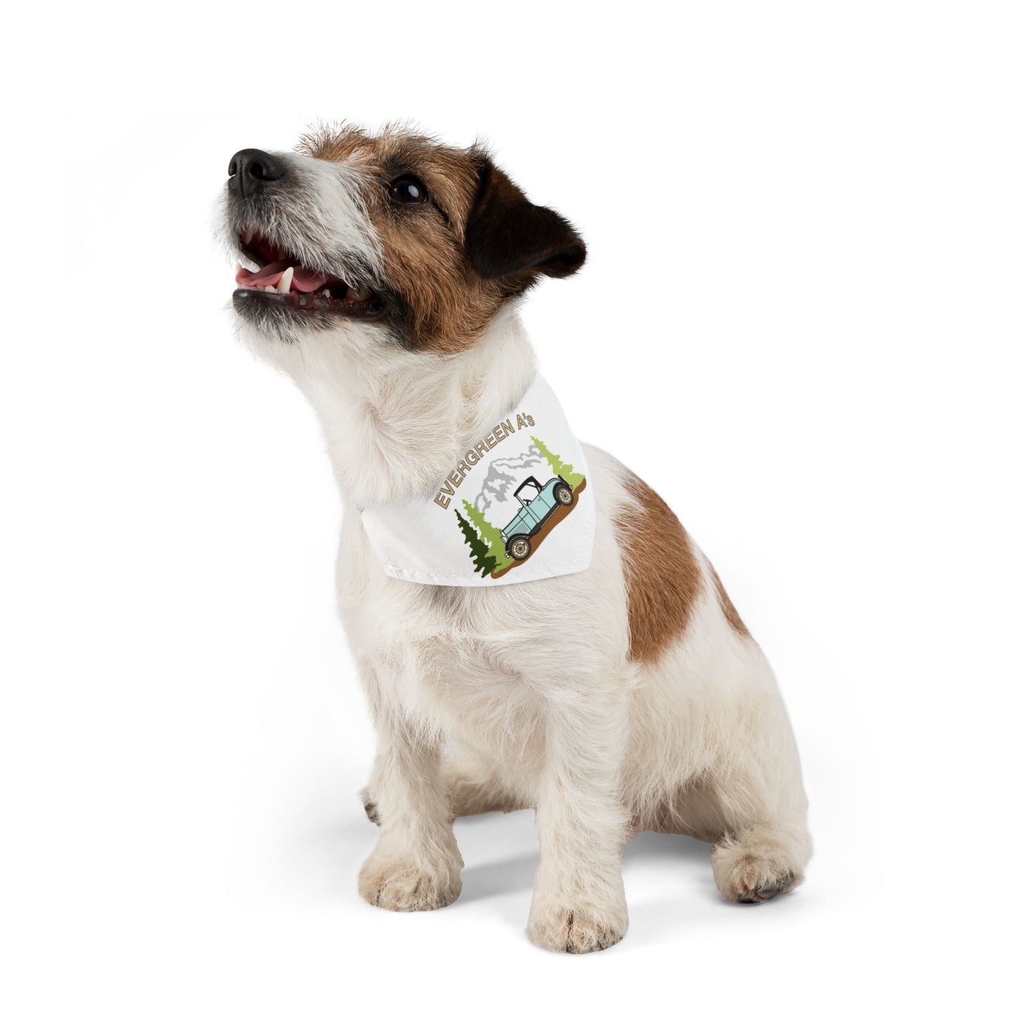 Evergreen A's Adventure Pet Bandana Collar