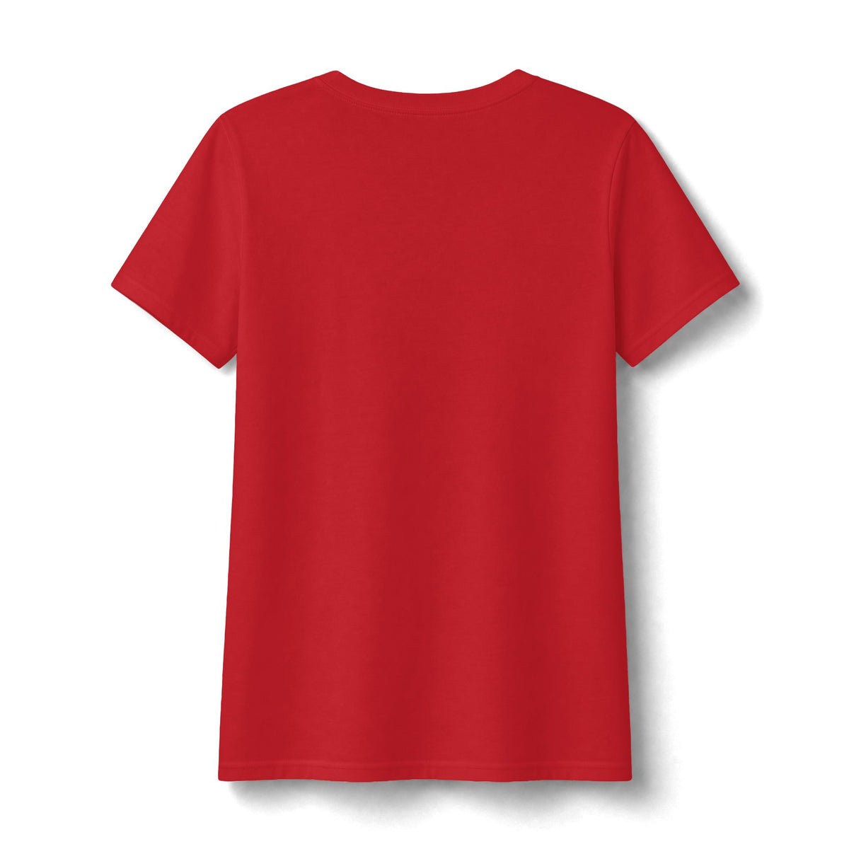 Water Wonderland Thunderbird Club Women's Fan Favorite V-Neck Tee - Soft Feel