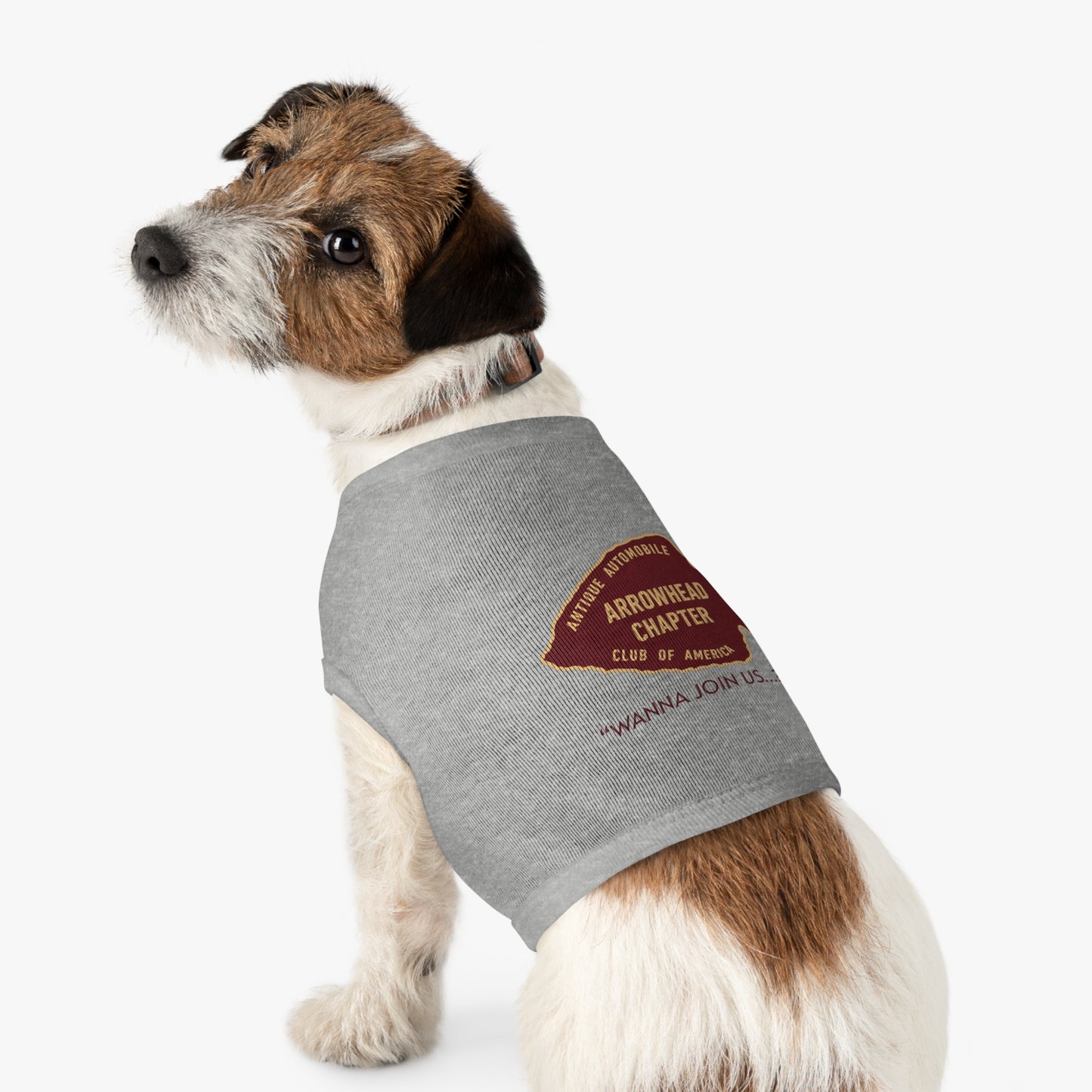 Arrowhead Chapter AACA Pet Tank Top – Vintage Automobile Club Dog Shirt