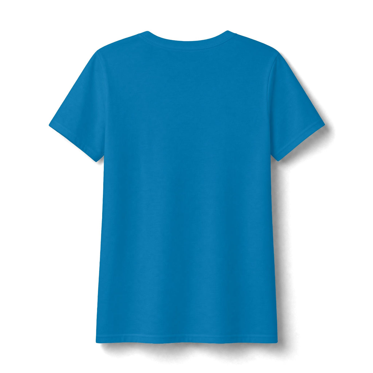 Water Wonderland Thunderbird Club Women's Fan Favorite V-Neck Tee - Soft Feel