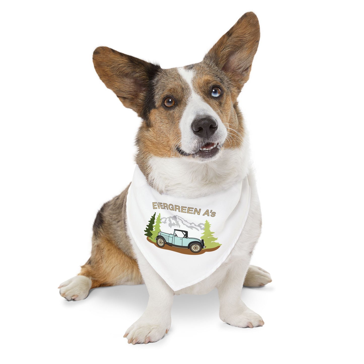Evergreen A's Adventure Pet Bandana Collar