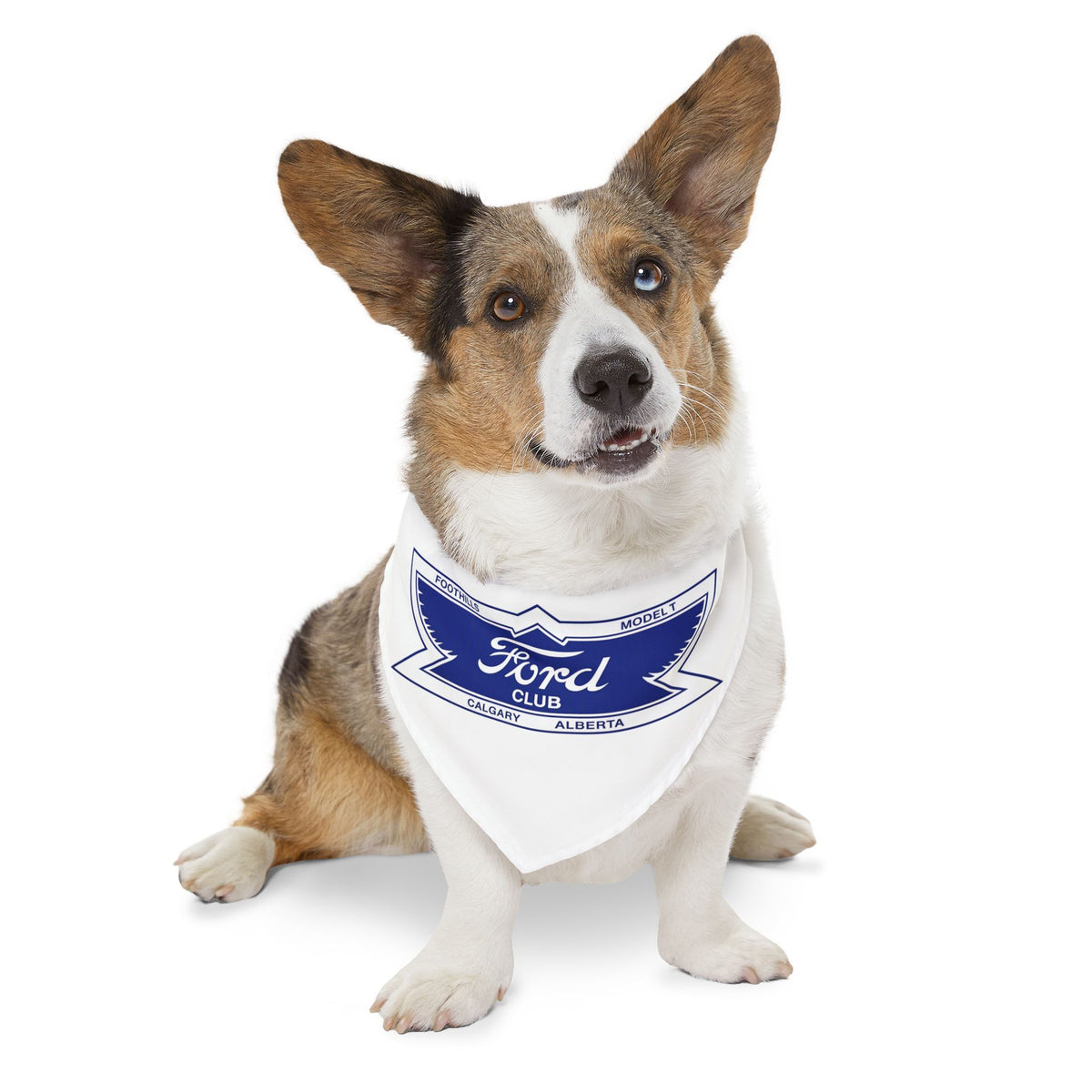 Foothills Model T Club Pet Bandana Collar