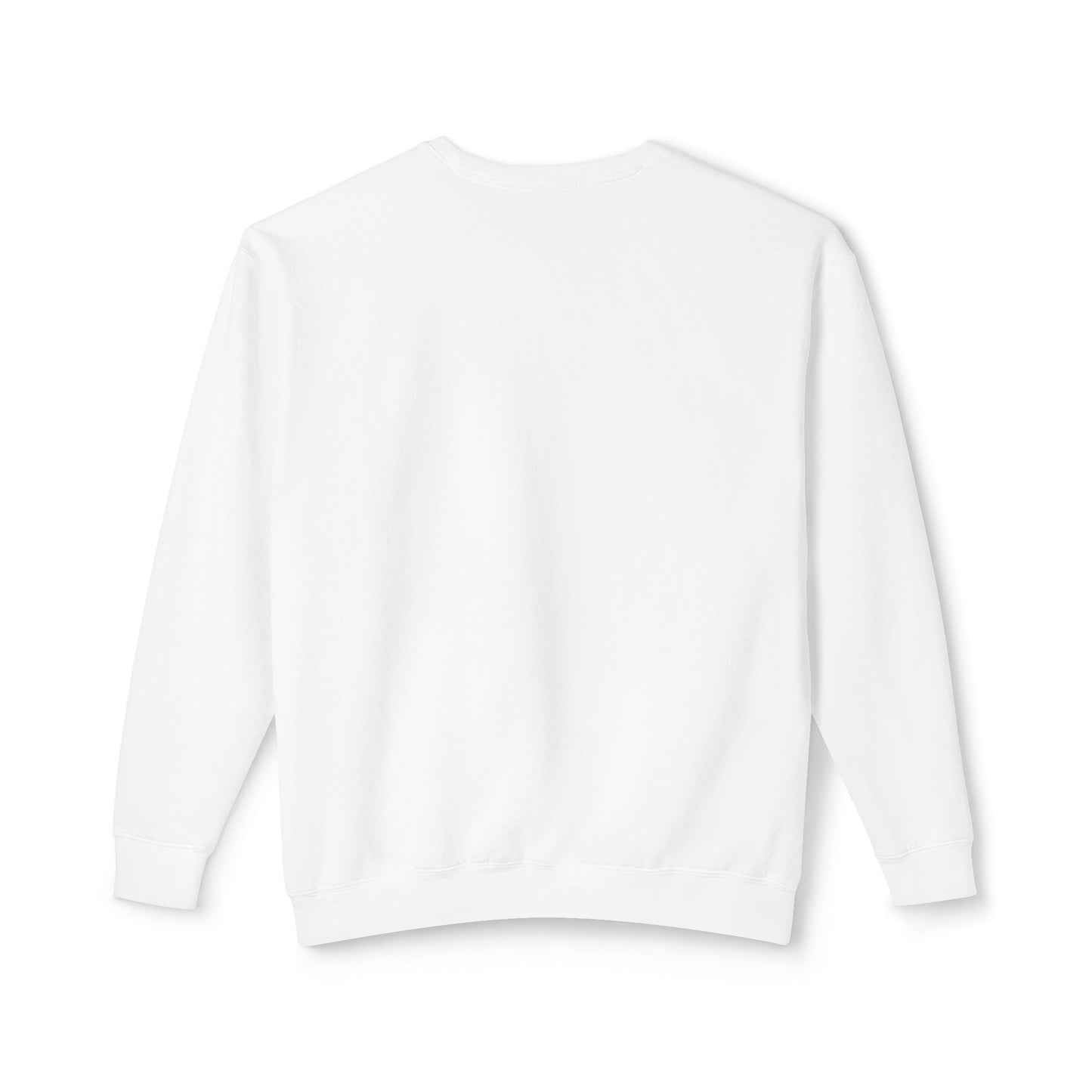 Nickel Era Touring Registry Retro Crewneck Lightweight Sweatshirt