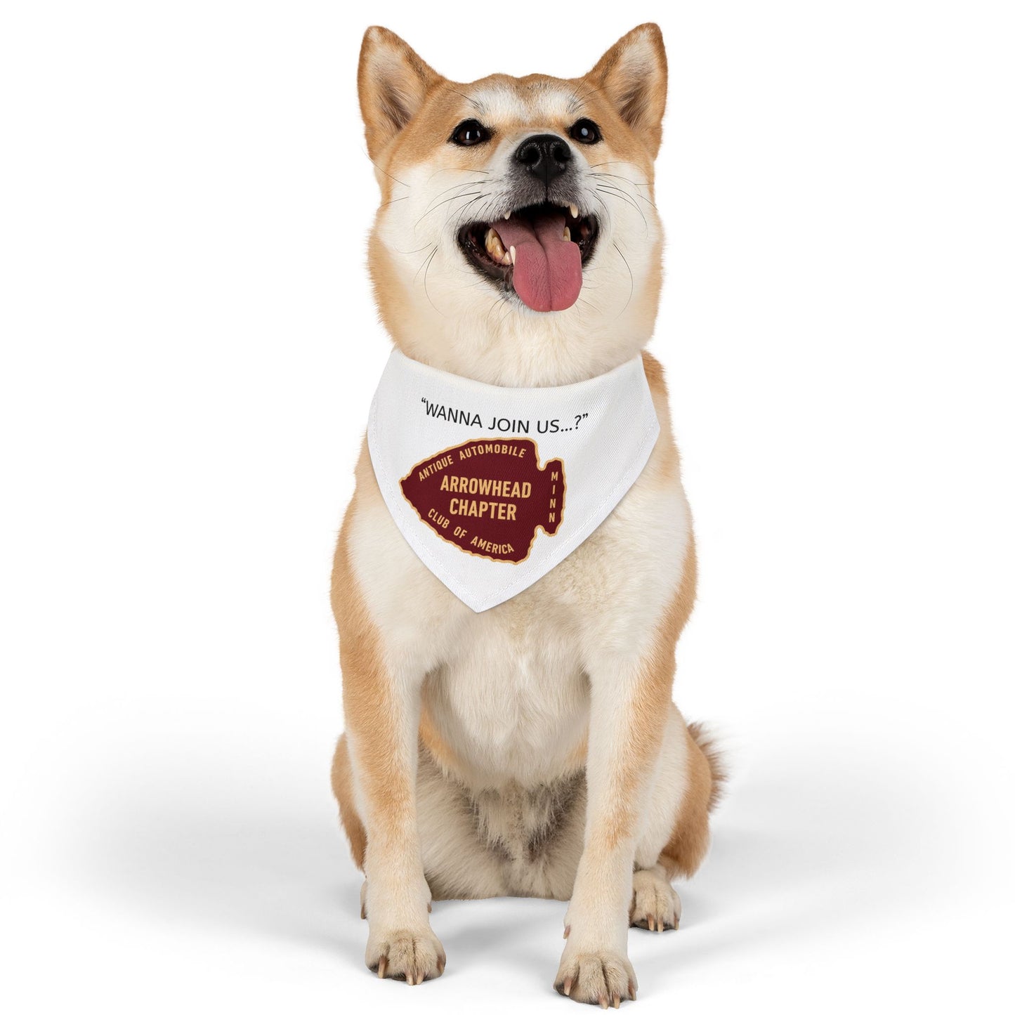 Arrowhead Chapter AACA Pet Bandana — "Wanna Join Us...?"