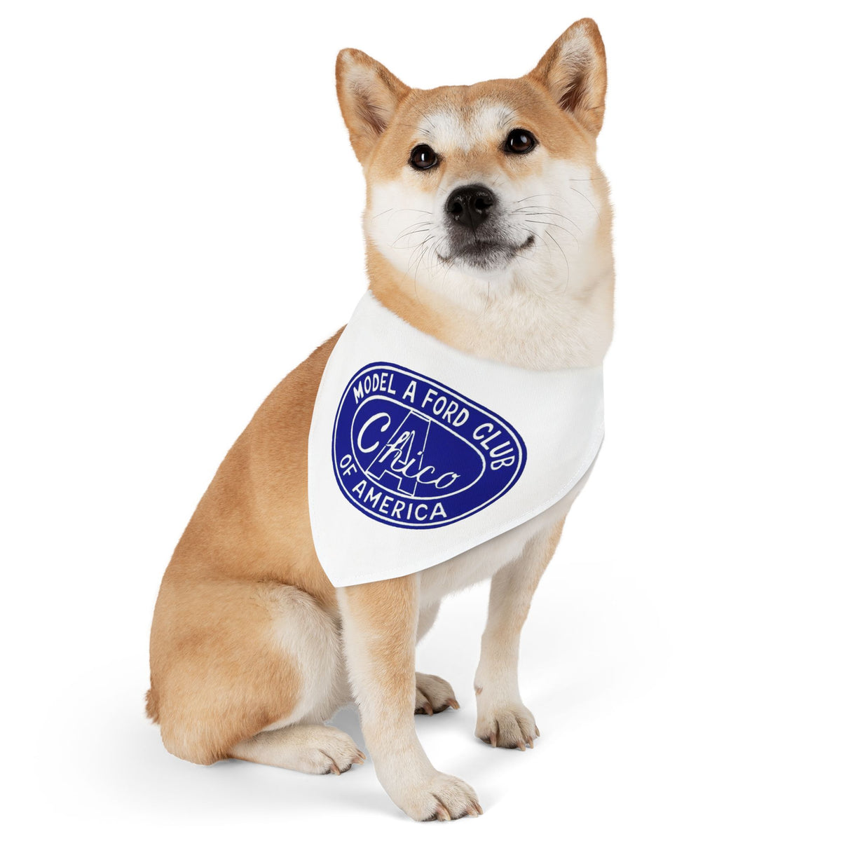 Chico A's Model A Ford Club Pet Bandana Collar