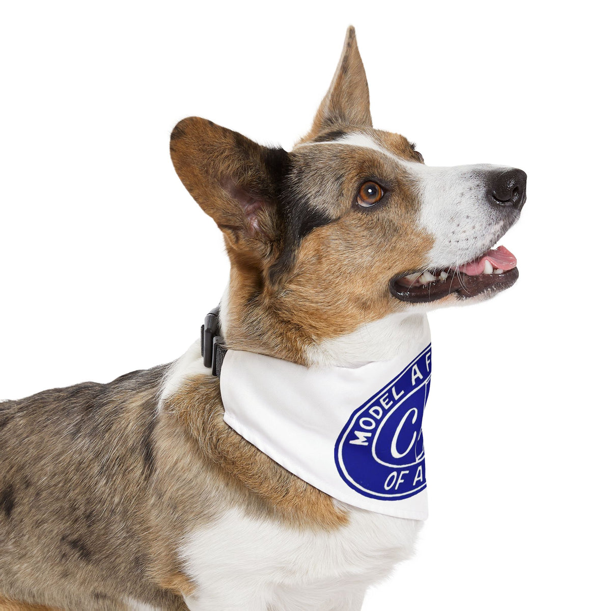 Chico A's Model A Ford Club Pet Bandana Collar